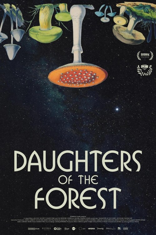 Daughters of the Forest poster illustrated with mushrooms against a dark background.