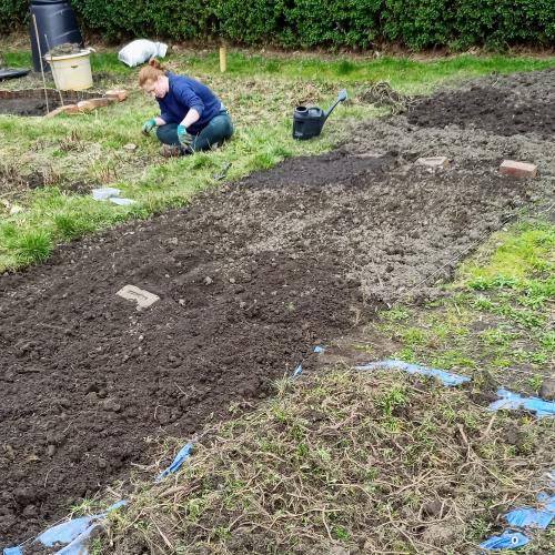 More digging!
